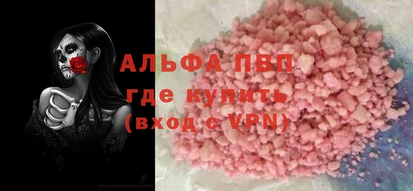 гидра Богородск