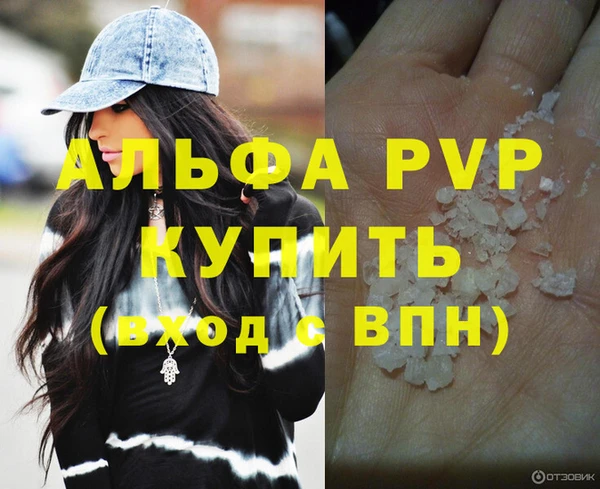 ПСИЛОЦИБИНОВЫЕ ГРИБЫ Богданович