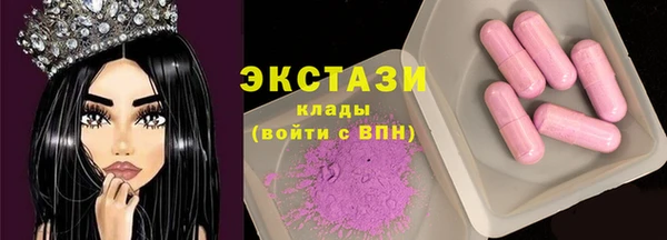 гидра Богородск