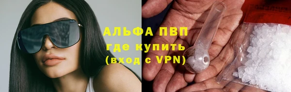 ПСИЛОЦИБИНОВЫЕ ГРИБЫ Богданович