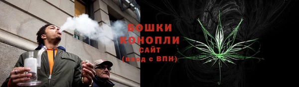 ПСИЛОЦИБИНОВЫЕ ГРИБЫ Богданович