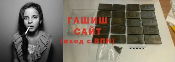 гидра Богородск
