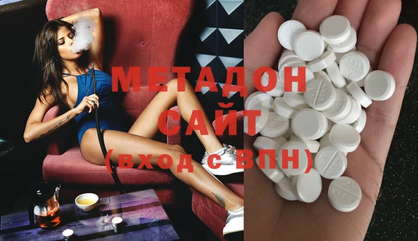 прущие грибы Березники