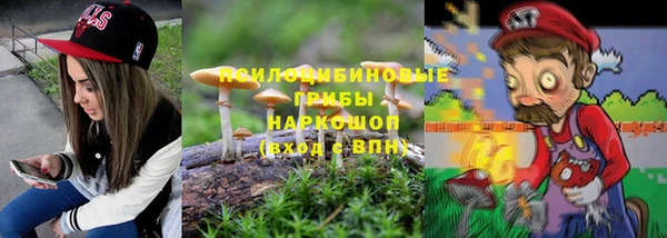 ПСИЛОЦИБИНОВЫЕ ГРИБЫ Богданович