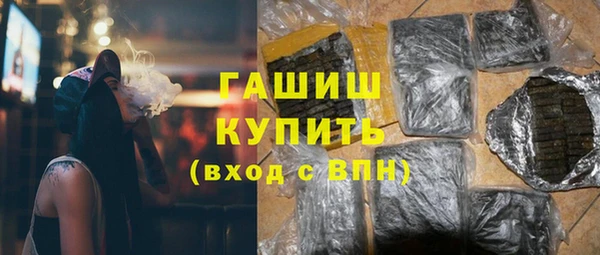 гидра Богородск
