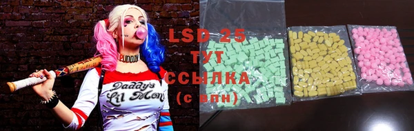 ПСИЛОЦИБИНОВЫЕ ГРИБЫ Богданович