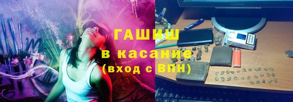 гидра Богородск