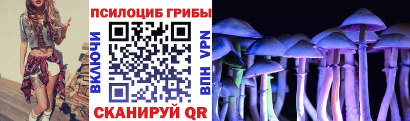 хочу наркоту  Гулькевичи  Псилоцибиновые грибы ЛСД 