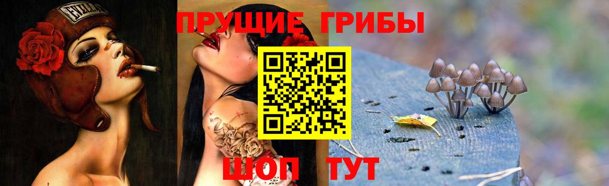 Псилоцибиновые грибы MAGIC MUSHROOMS Гулькевичи