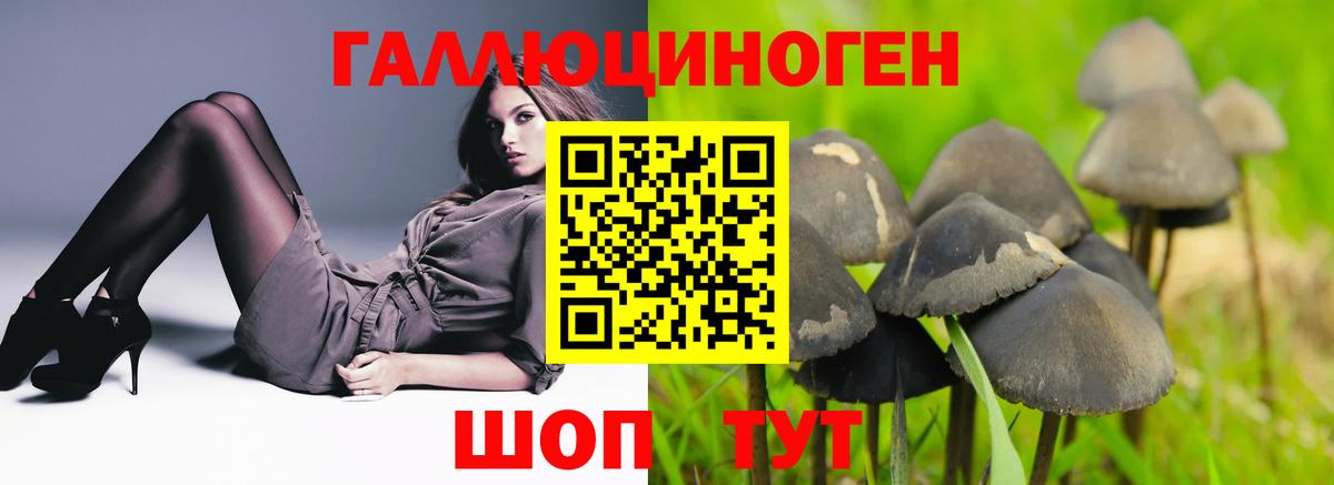 Галлюциногенные грибы ЛСД Гулькевичи